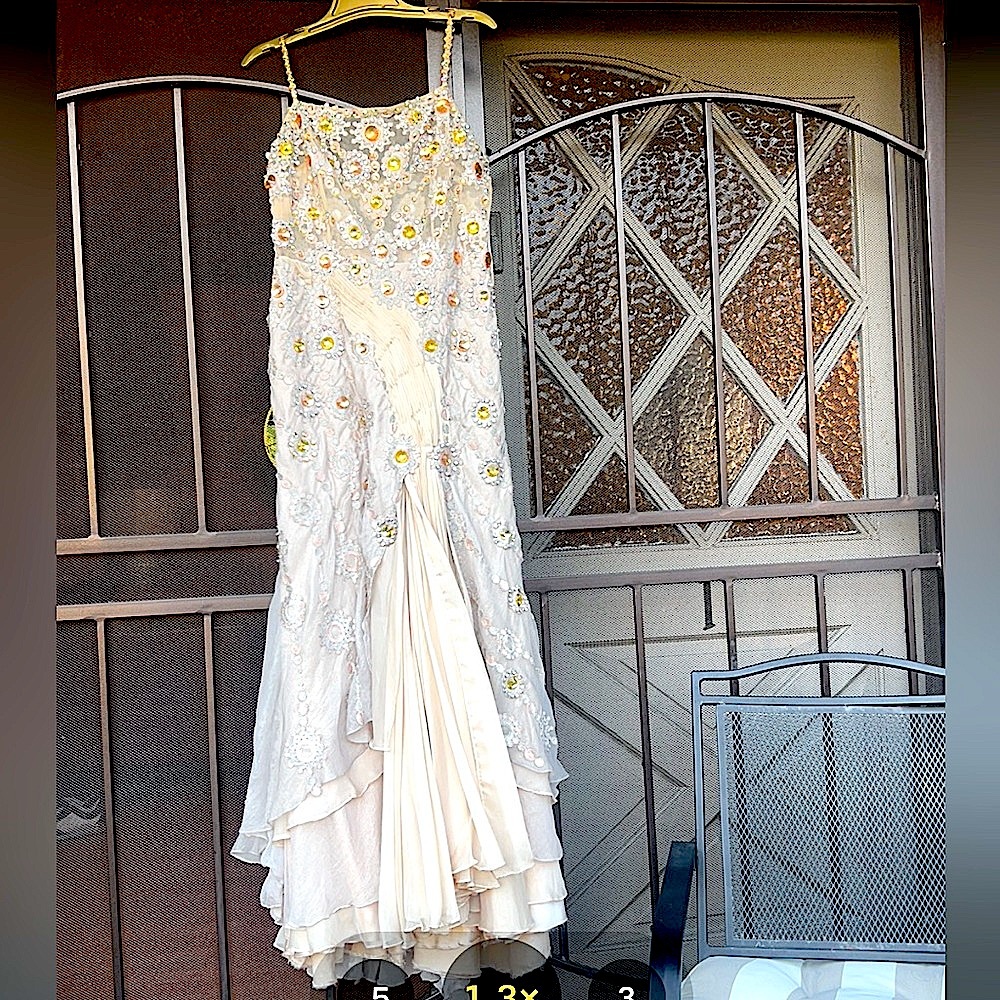 Maximilian Bloomingdale’s Evening Gown